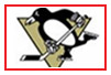 Pittsburgh Penguins