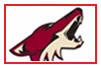 Arizona Coyotes