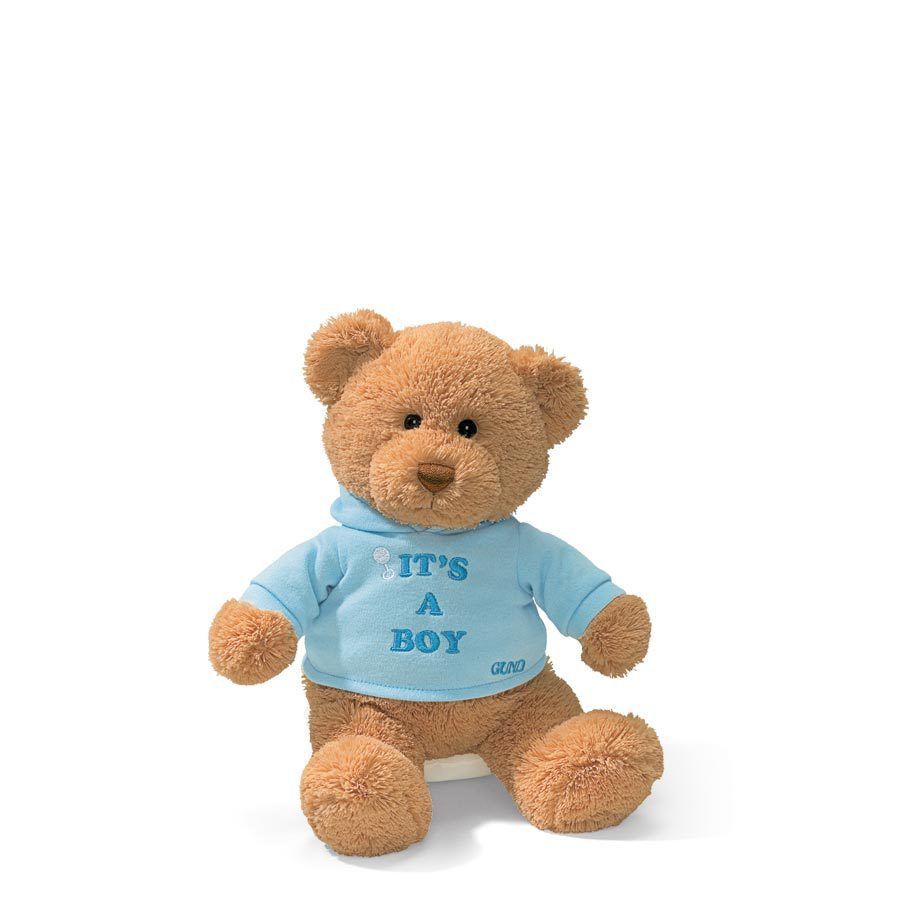It's a Boy Teddy Bear - Toy Sense