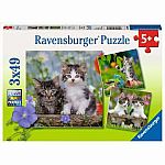 Tiger Kittens 3x49 - Ravensburger.