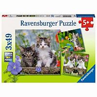 Tiger Kittens 3x49 - Ravensburger. 