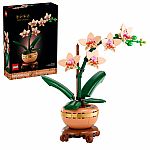 Botanical Collection: Mini Orchid.