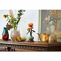 Botanical Collection: Chrysanthemum.