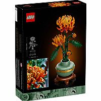 Botanical Collection: Chrysanthemum.