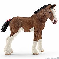 Clydesdale Foal .