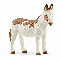 American Spotted Donkey