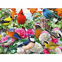 Garden Birds - Ravensburger
