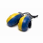 Ukraine Mini Boxing Gloves