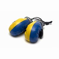 Ukraine Mini Boxing Gloves