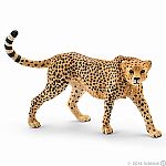Cheetah Female