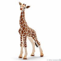 Giraffe Calf.