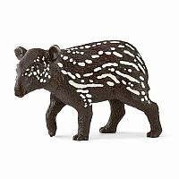Tapir Baby  