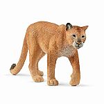 Cougar 