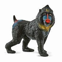 Mandrill 
