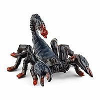 Emperor Scorpion.