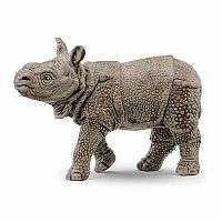 Indian Rhinoceros Baby 
