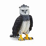 Harpy Eagle  