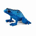 Blue Poison Dart Frog  