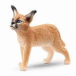 Caracal Cub