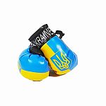 Ukraine Mini Boxing Gloves - Trident 