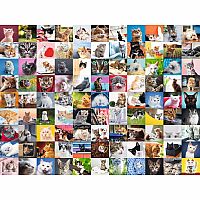 99 Cats - Ravensburger 