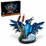 Icons: Kingfisher Bird.