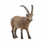 Ibex