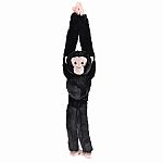 Hanging Chimpanzee