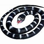 California Kingsnake Rubber Snake