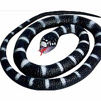 California Kingsnake Rubber Snake