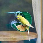 Window Bird Feeder 