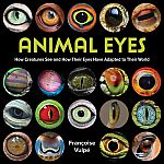 Animal Eyes - How Creatures See and How Their Eyes Have Adapted to Their World .