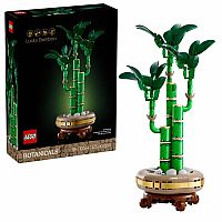 Botanical Collection: Lucky Bamboo.