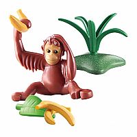 Wiltopia: Young Orangutan - Retired