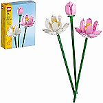 Lotus Flowers
