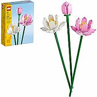 Lotus Flowers