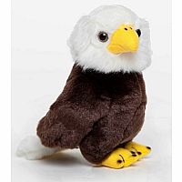 Eagle - 8 inch