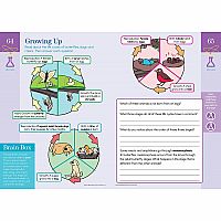 Summer Brain Quest: Between Grades 2 & 3 Workbook