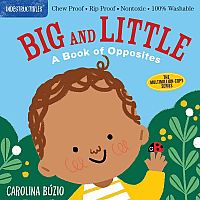 Big and Little : A Book of Opposites - Indestructibles  