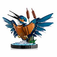 Icons: Kingfisher Bird.