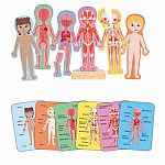 Magnetic Human Body Wooden Puzzle