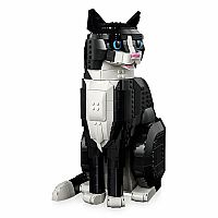 Ideas: Tuxedo Cat
