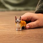 Welsh Corgi
