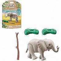 Wiltopia: Young Elephant