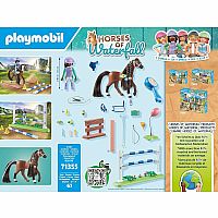 Horses of Waterfall: Jumping Arena