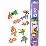 Pets Nature Tube  