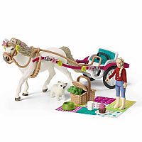 Horse Club - Small Carriage for the Big Horse Show 