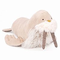 Walrus 