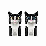 Ideas: Tuxedo Cat