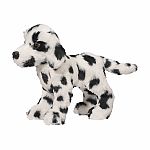 Dooley Dalmatian.